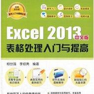 Excel 2013İ